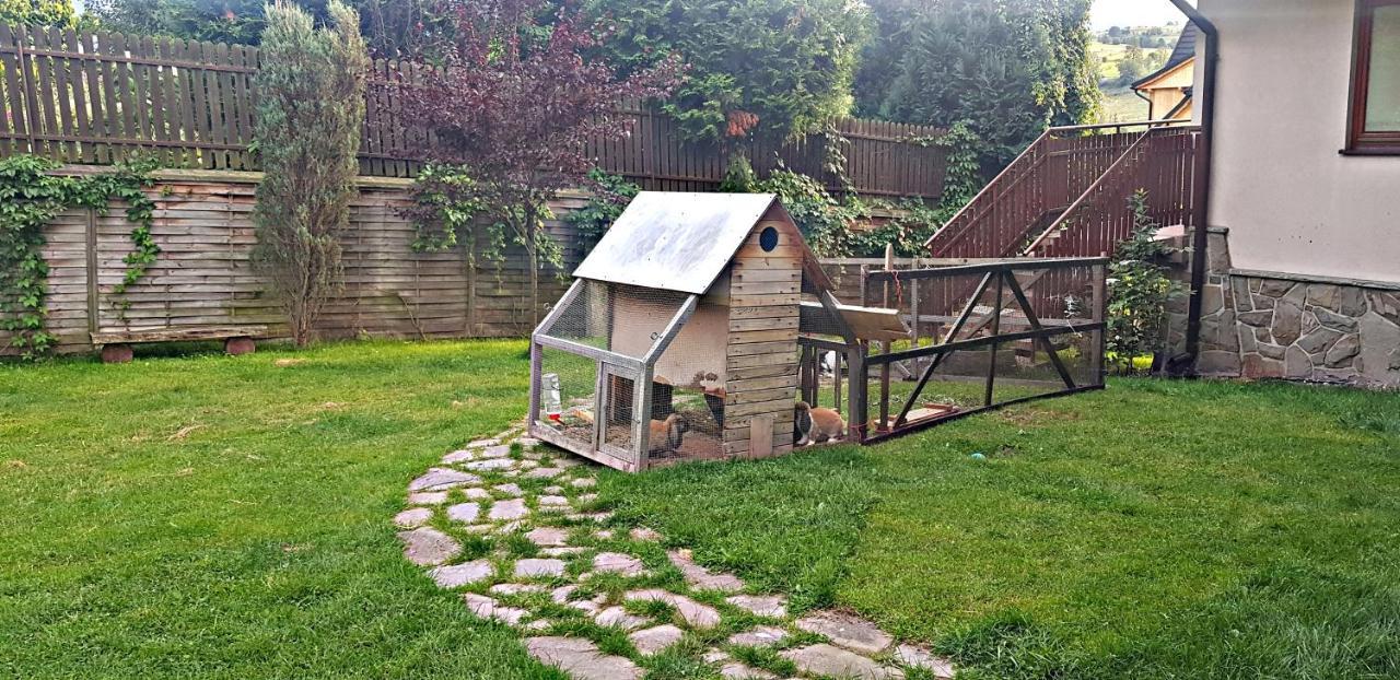 Willa U Bzyka Zakopane Ngoại thất bức ảnh