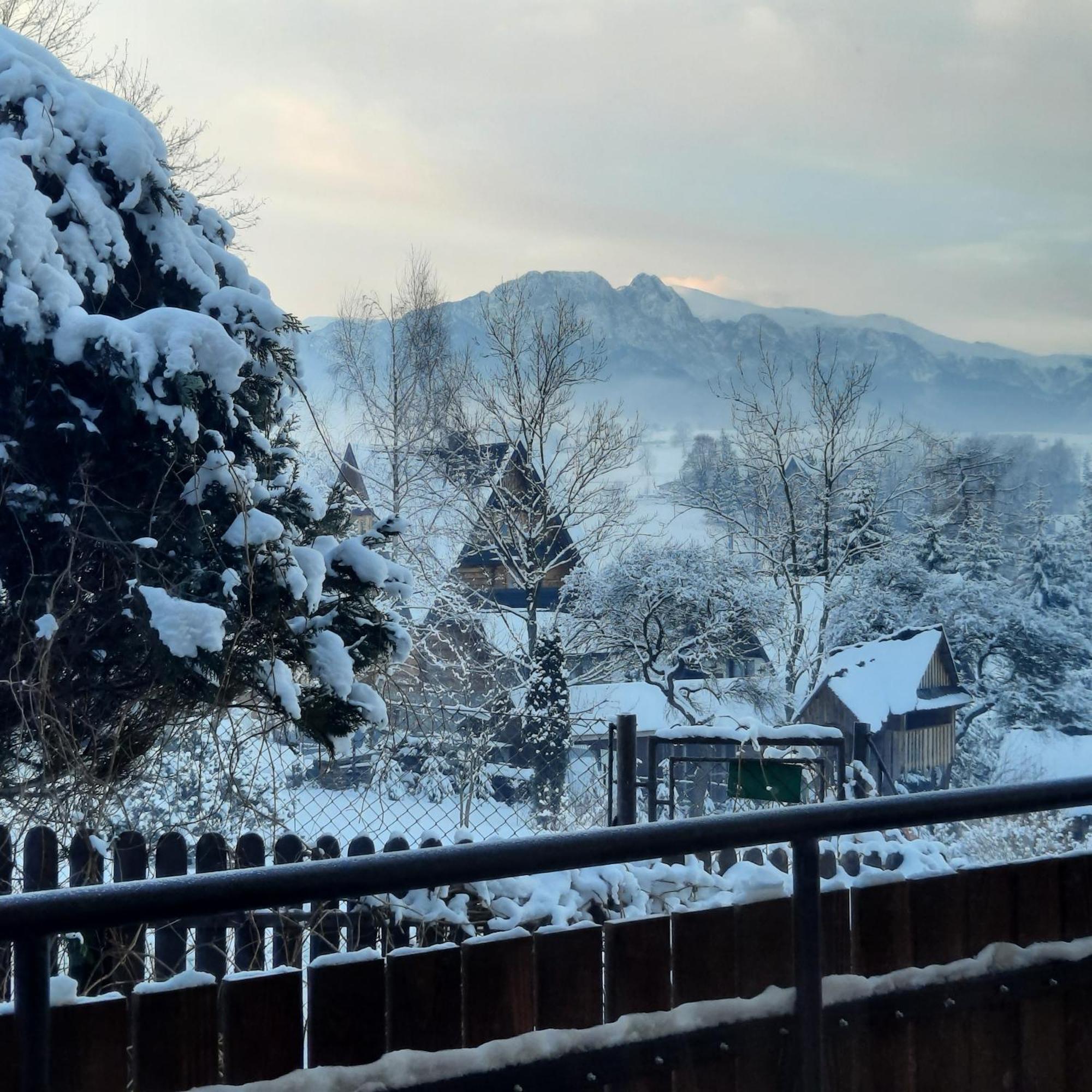 Willa U Bzyka Zakopane Ngoại thất bức ảnh