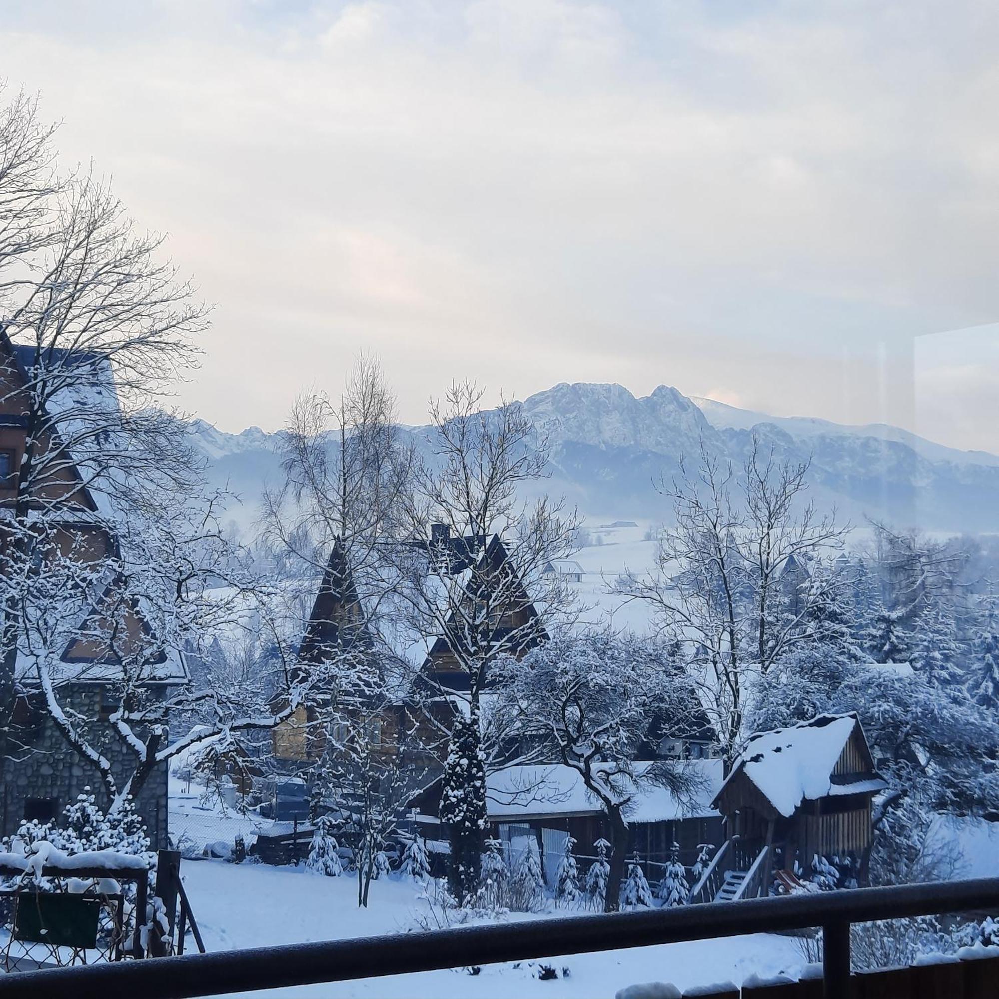 Willa U Bzyka Zakopane Ngoại thất bức ảnh